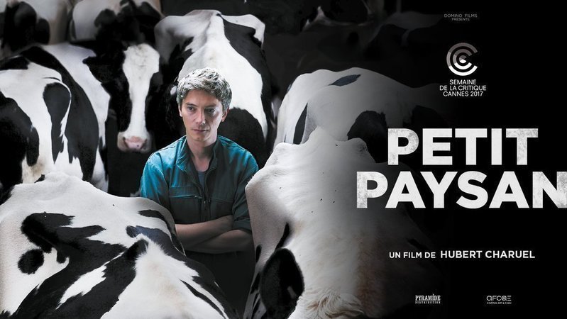 Le Petit Paysan Film Complet En Francais Gratuit La Vache Film Complet - Mirahs