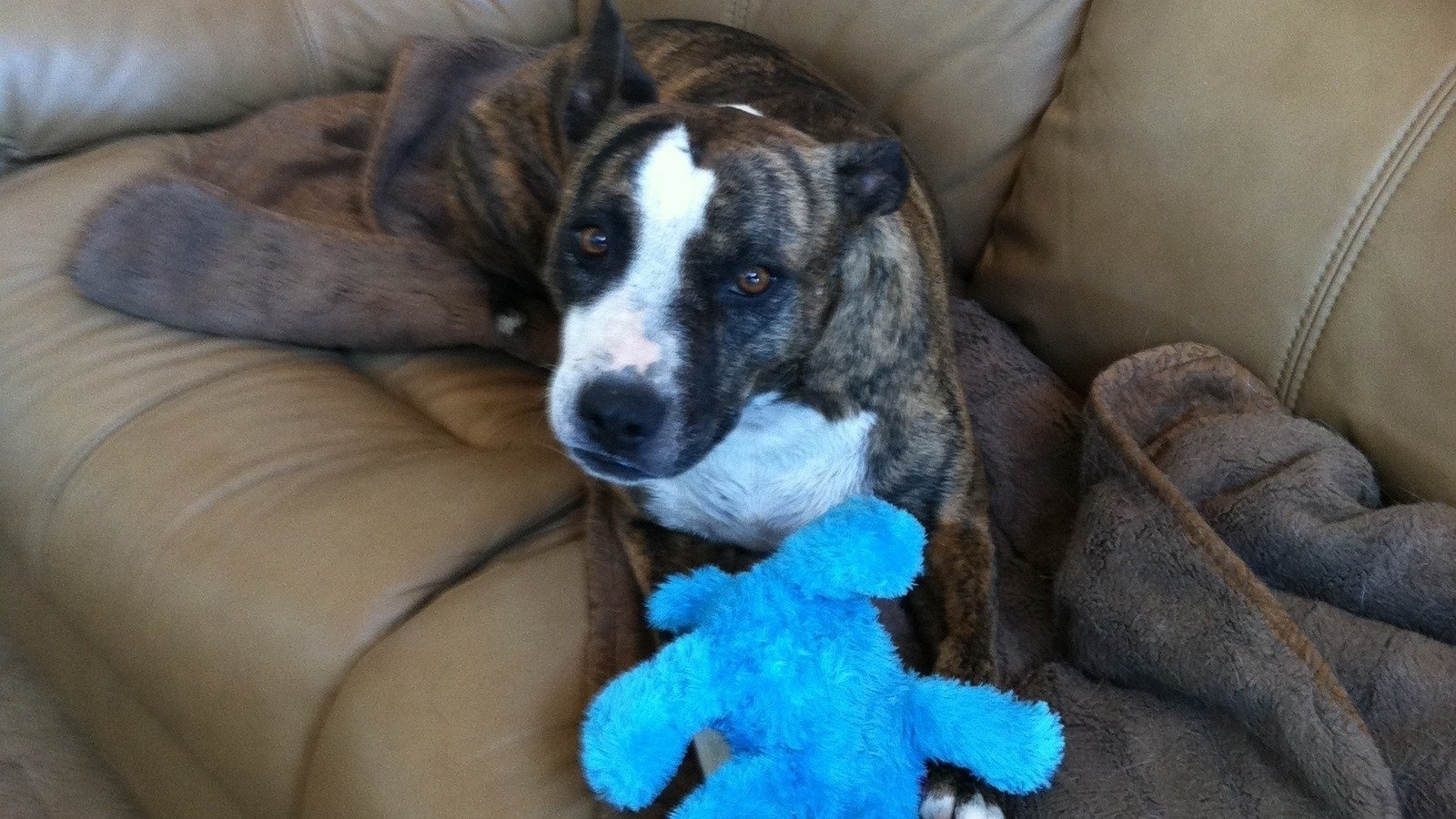 Petition · Quit sponsoring the Ameriprise Insurance for homeowners