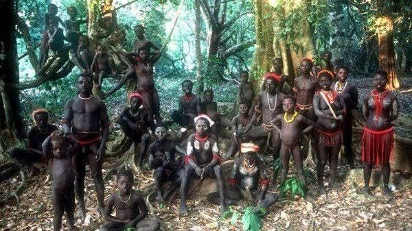Petition · In Andaman Islands, ban tourists road transport through Jarawa  Tribe reserve - India · Change.org