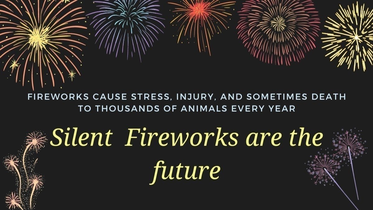 Petition · Only sell silent fireworks for private use United Kingdom
