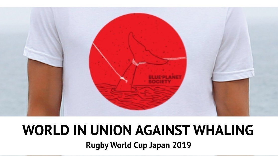 Petition update · Stop whaling · ·