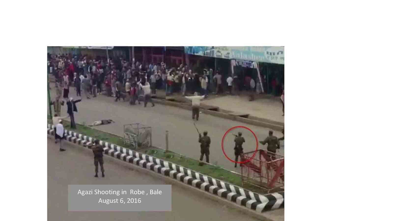 Petition · To the UN Security Council a plea to intervene to Stop the