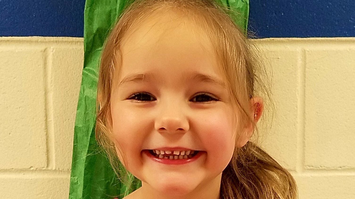 Petition · Juliette's LawChanging GA law to add aggravated battery to