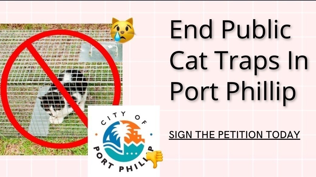 Petition · No Public Cat Traps in Port Phillip City Council ·