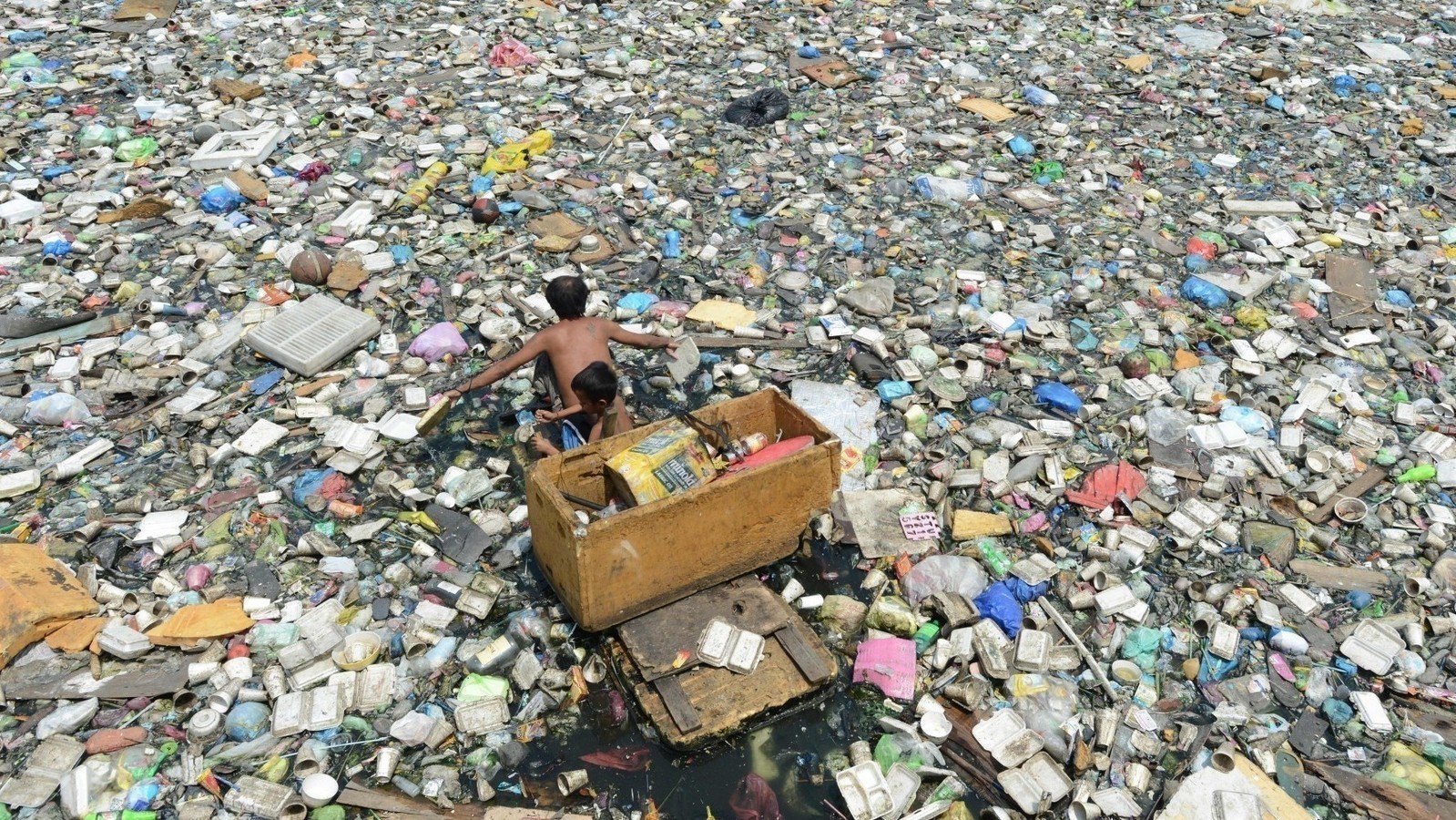 Petition · Not just ban plastic, ban thermocol too India ·