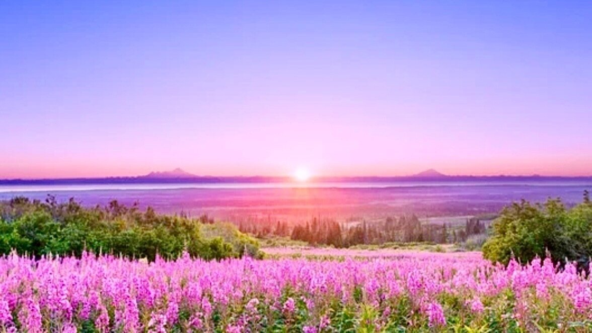 Petition · Impose a Ban on Geoengineering Practices in Alaska - United ...
