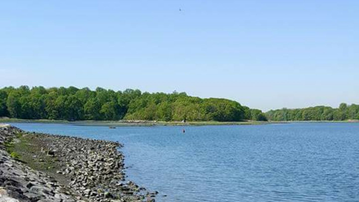 Petition · Open Glen Island Park United States ·