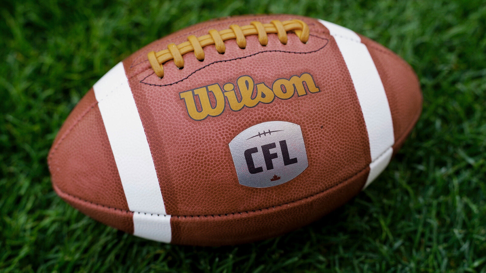 Petition · SAVE the 55-Yard-Line! STOP the CFL Rule and Field Changes ...