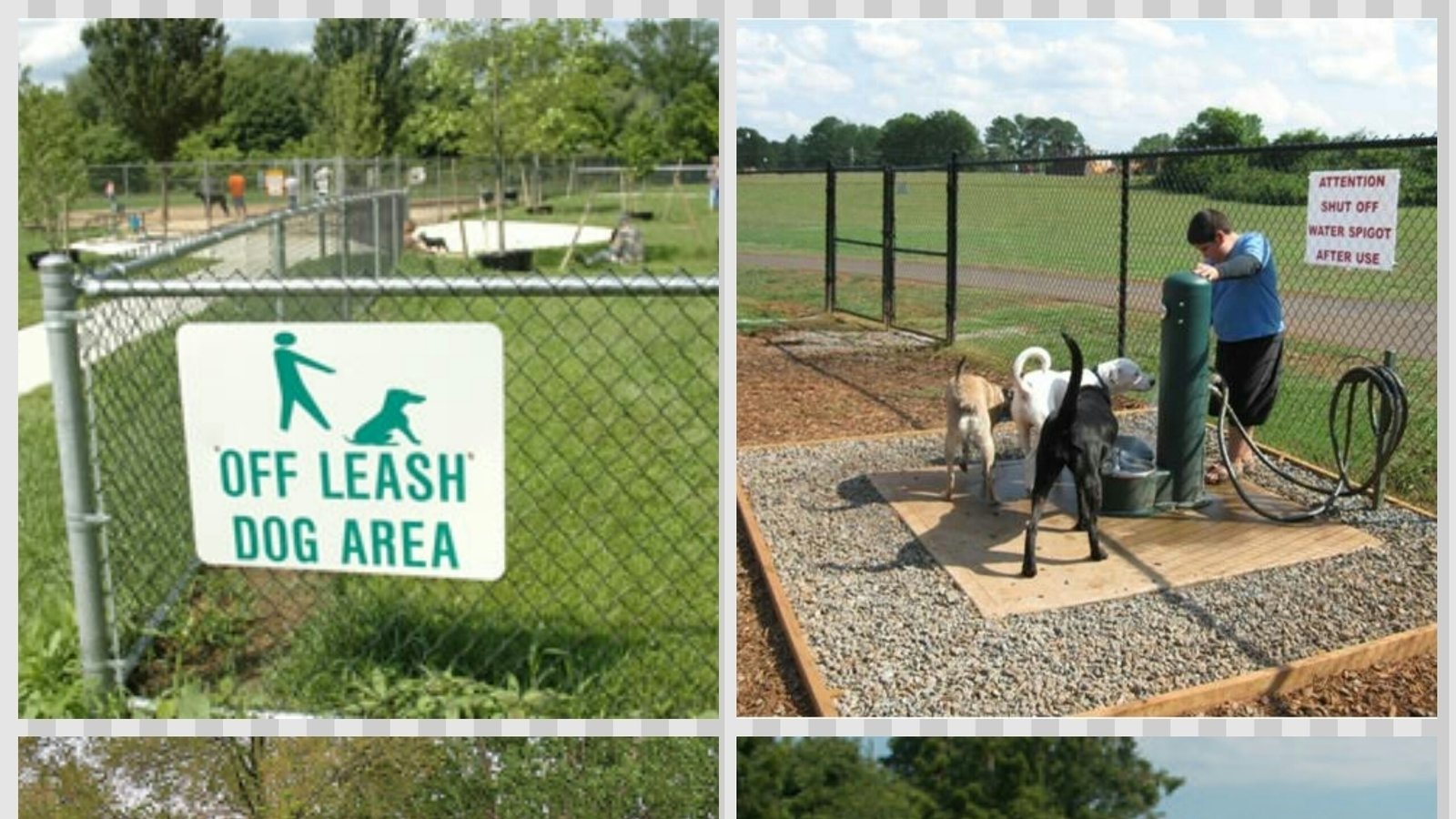 Petition · Build and open the first dog park in Durant, Oklahoma