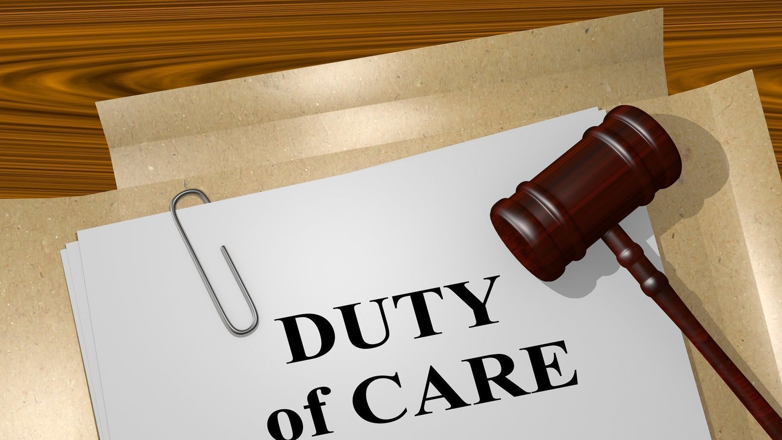 Petition update · Breaching a duty of care The law of negligence Gardener's Road Public Petition update · Breaching a duty of care The law of negligence Gardener's Road Public