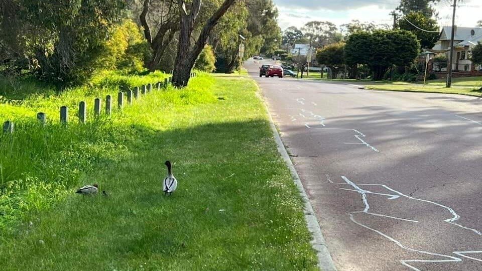 Petition · Wildlife Crossing Signs Throughout Guildford Guildford