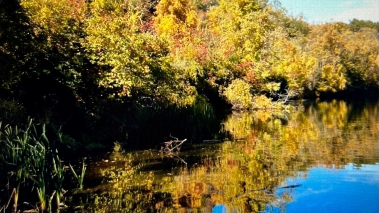 Petition · SAVE CANOE BROOK RESERVOIR FROM DEVELOPMENT! United States