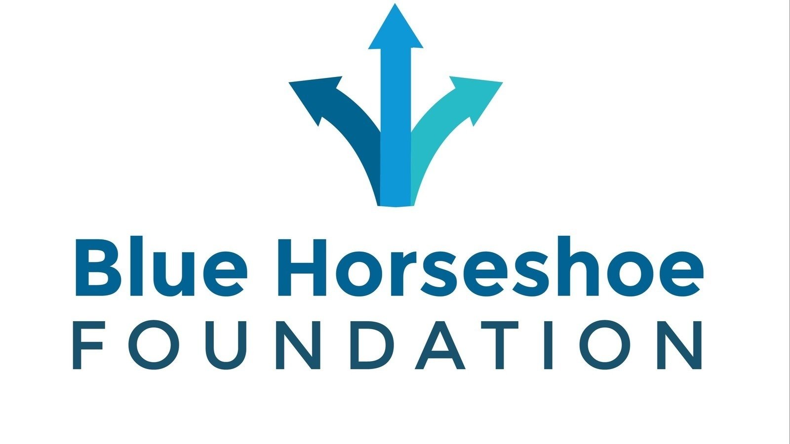 Petition · Help Blue Horseshoe and the AAACC Bring the Ready to Work
