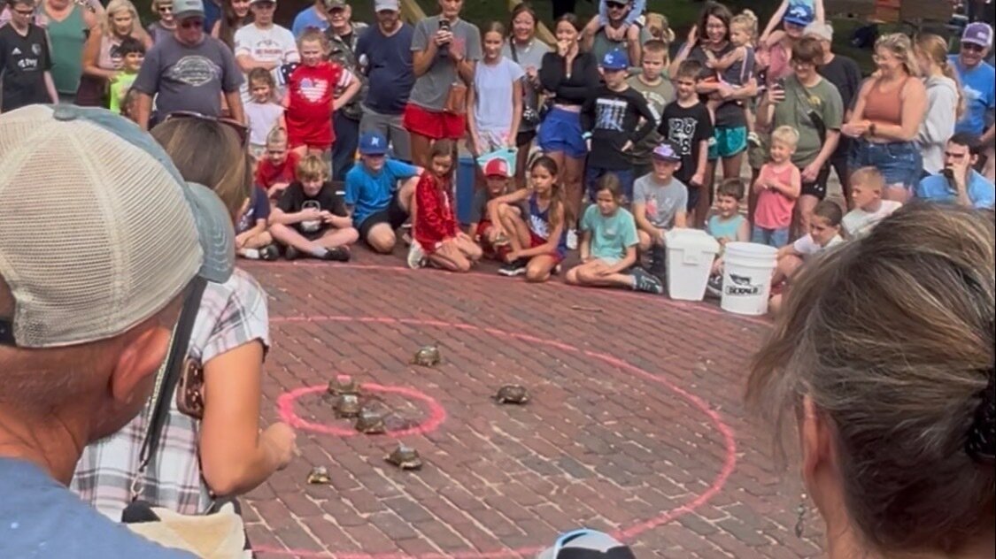 Petition · Stop Turtle Races and All Wild Life Contests - United States ...