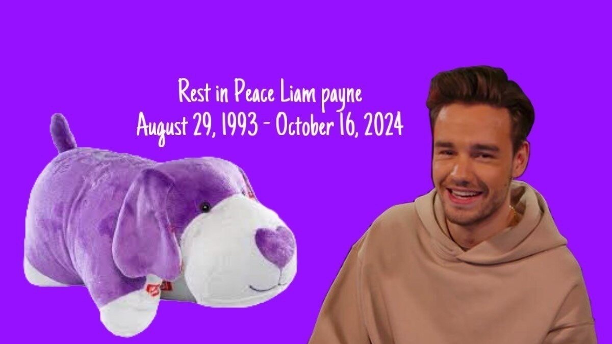 Petition · Revive the One Direction Pillow Pets in Memory of Liam Payne