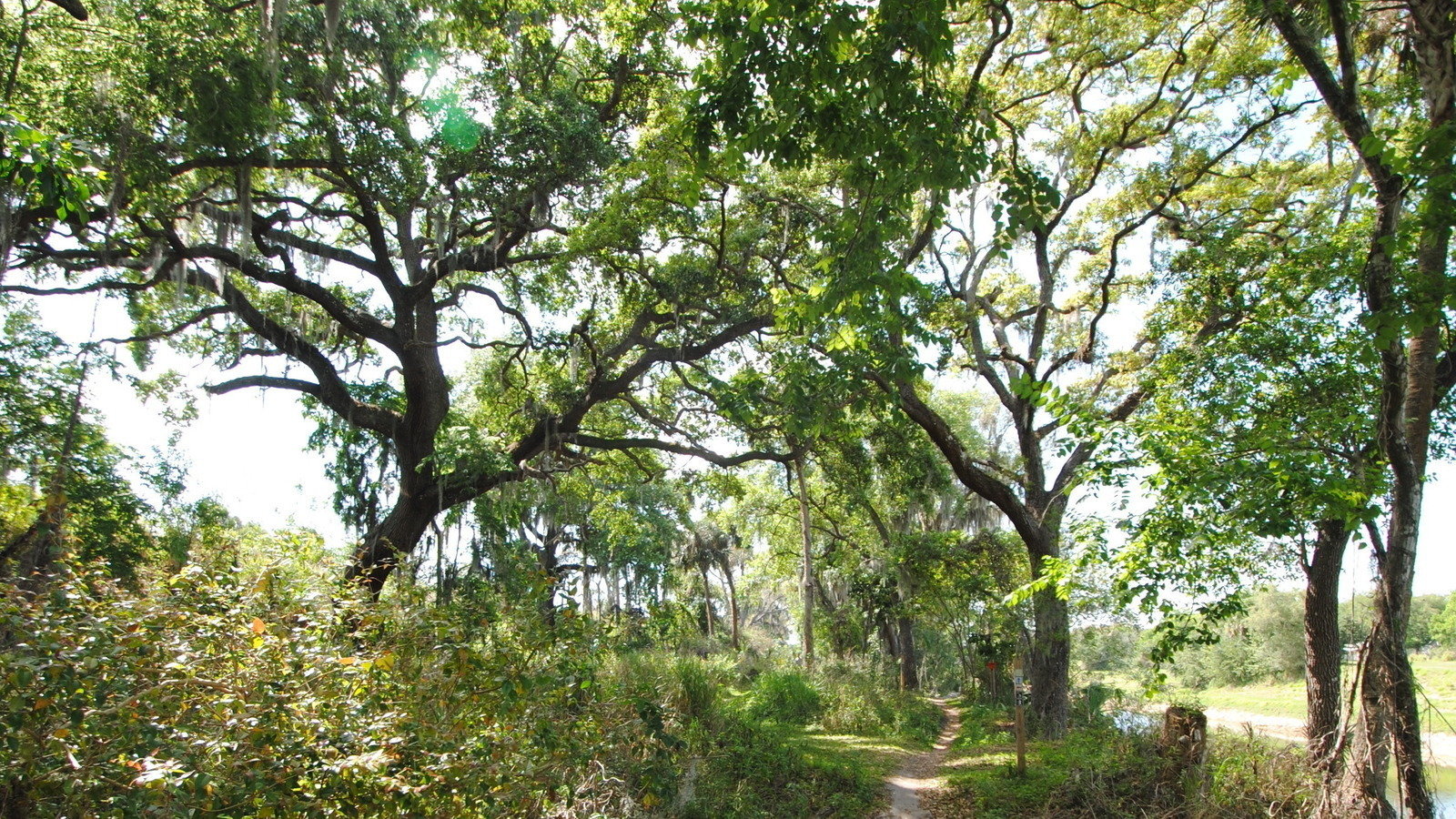 Petition · Save the Grapefruit Trail United States ·