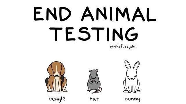 Petition · Inhumane Experimentations on Animal: Mistreatment on Animals ...