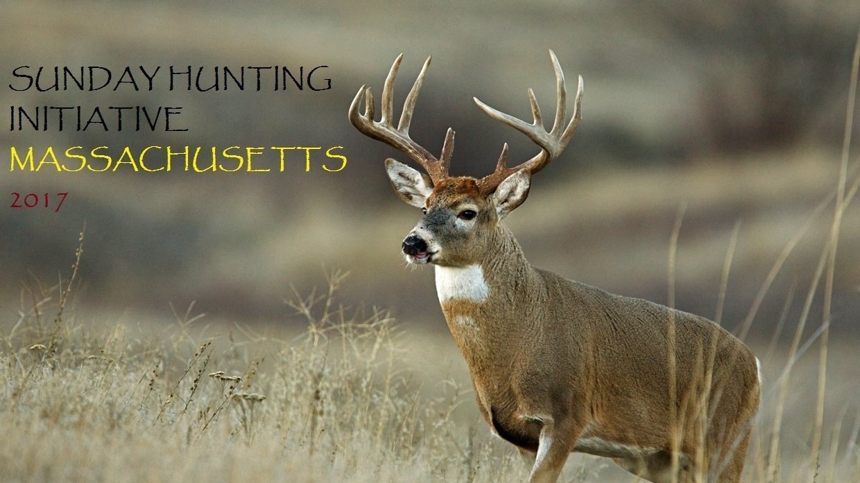 Petition · 2017 Massachusetts Sunday Hunting Initiative United States
