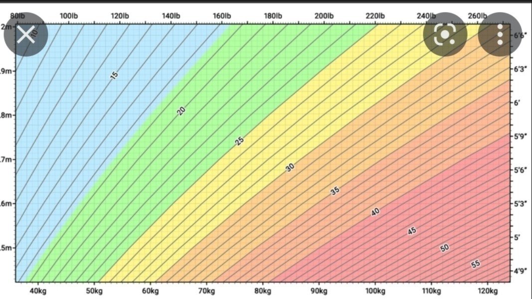 Petition · The use of BMI United Kingdom ·