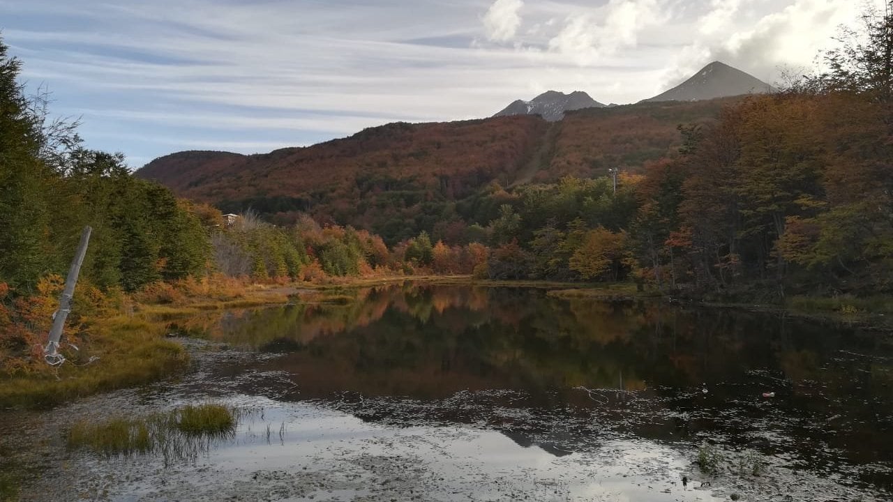 Petición · NO A LA DESTRUCCIÓN DE LA RESERVA NATURAL EN USHUAIA