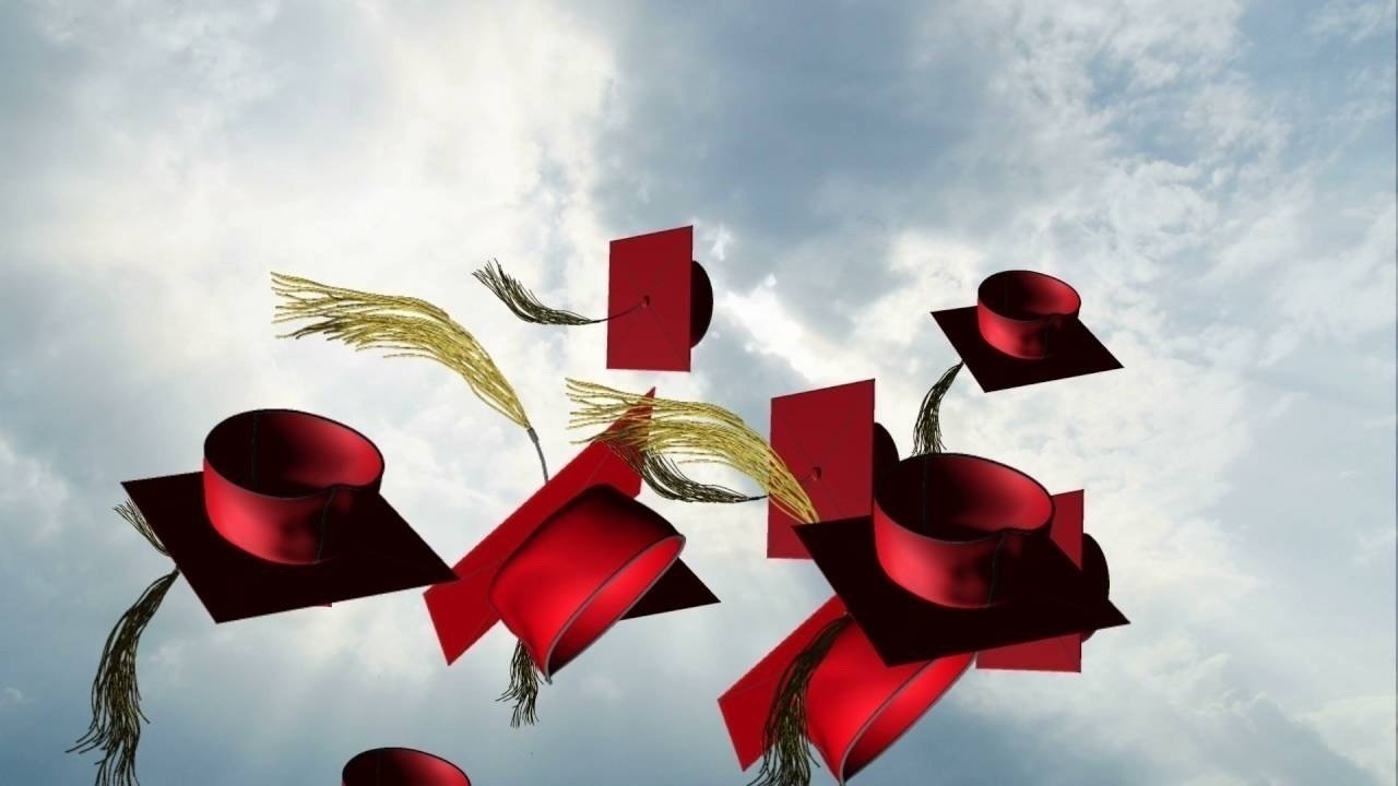 Petition · Give UL’s Spring 2020 Grads a Proper Graduation Ceremony ...