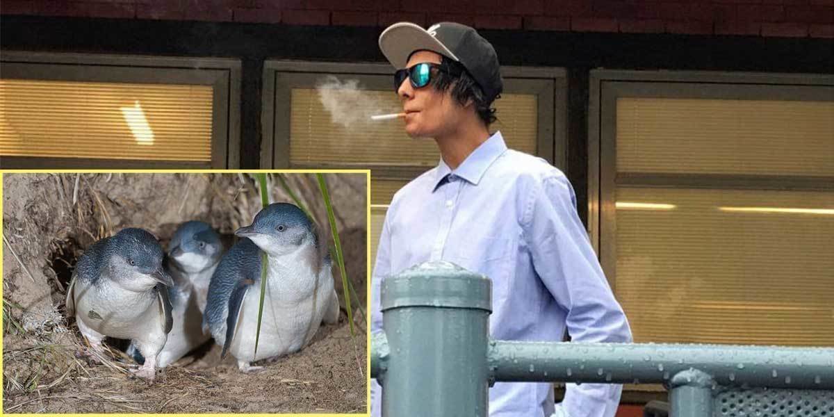 Petition · Appropriate Sentence for Killing Penguins - Australia