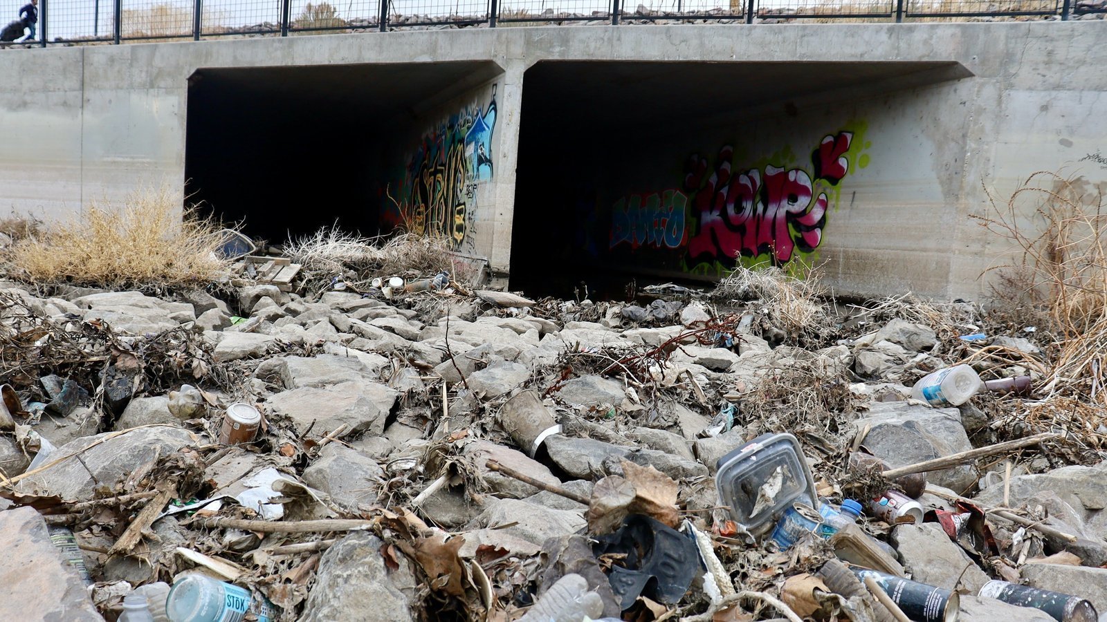 Petition · Stop littering Clean up our environment ·