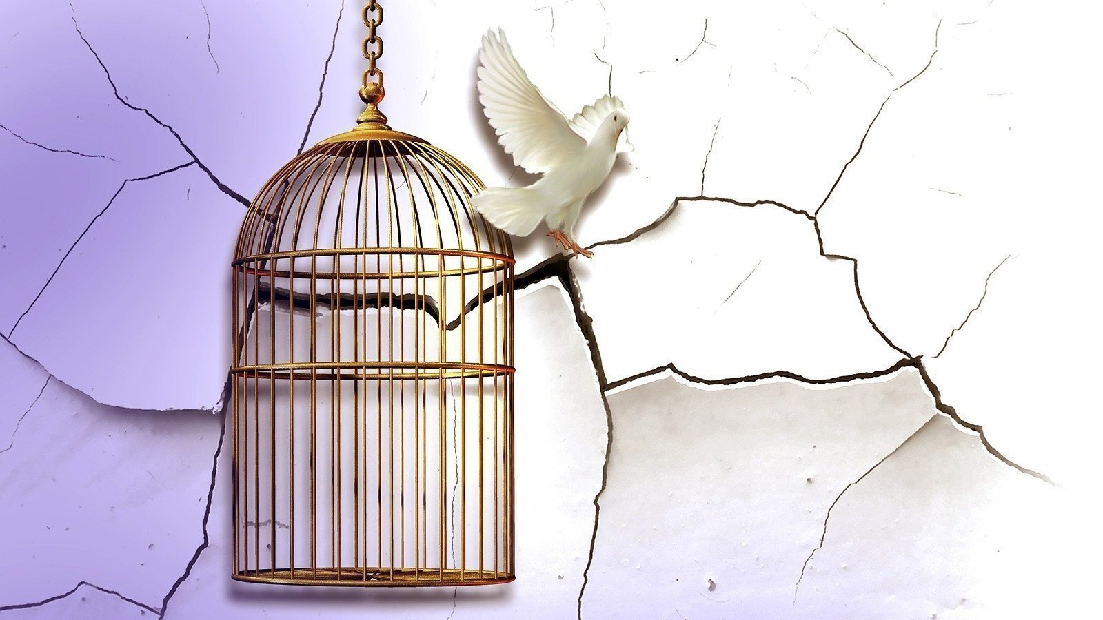 Petition · Let’s promote peace by giving residence permits to Russian