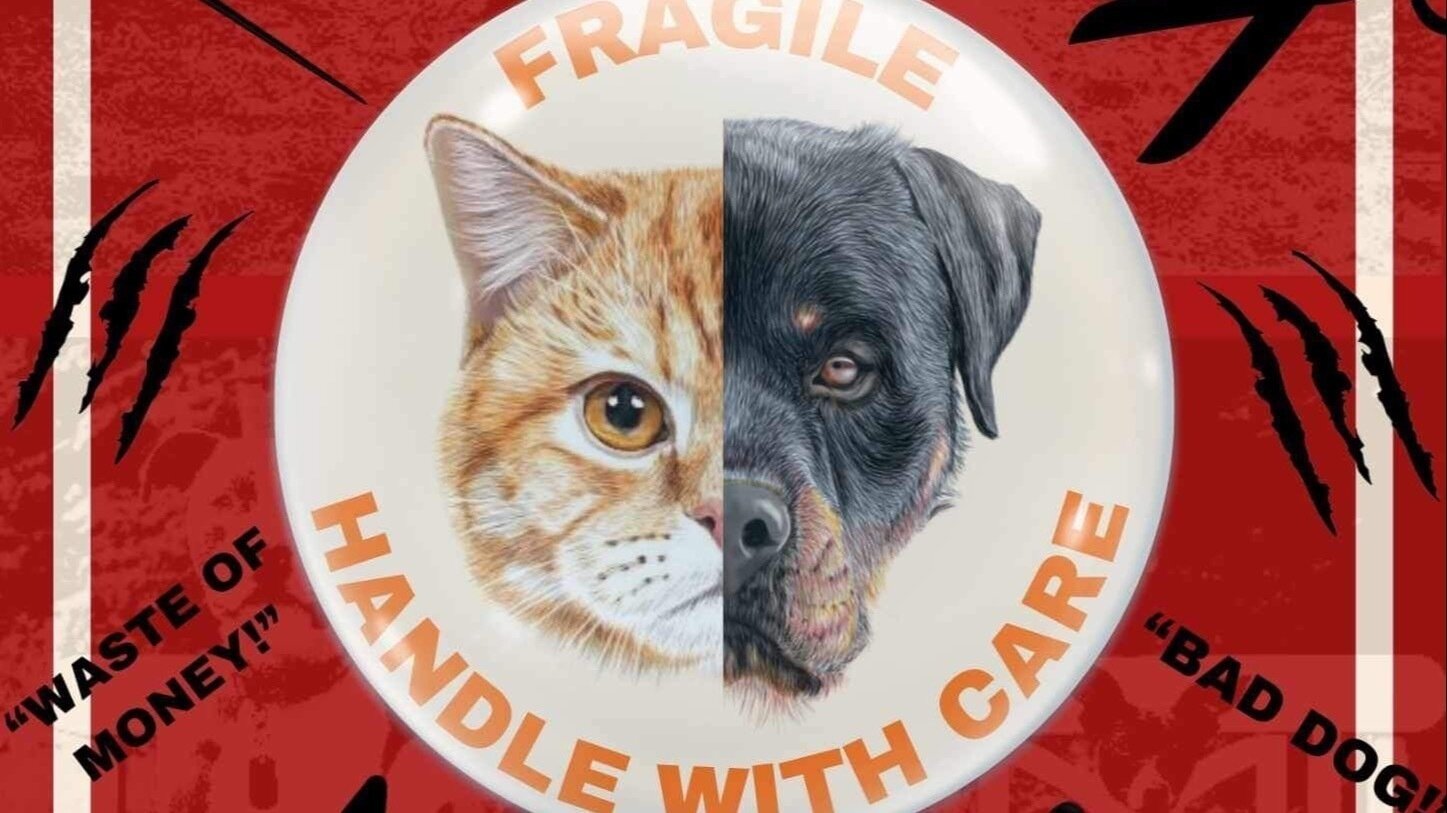 Petition · Providing Roofs for Dogs and Cats on the street of GMA