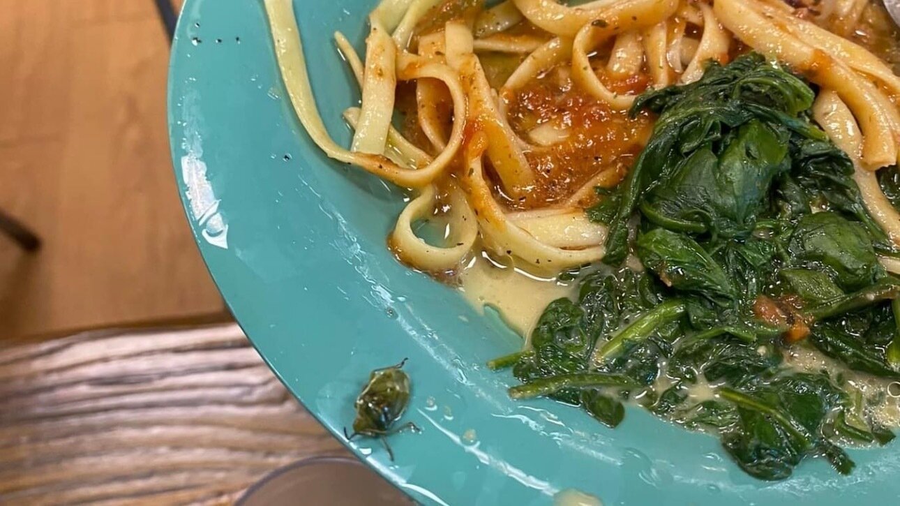 Petition · Improve the Quality of Cafeteria Food in Itta Bena, MS ·