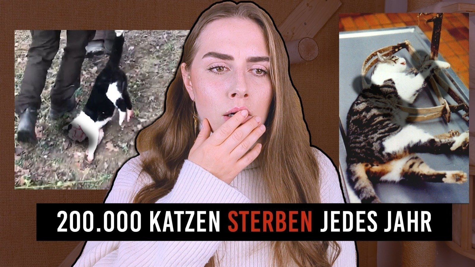 Petition · Anonymes Abschlachten von Katzen - Deutschland · Change.org