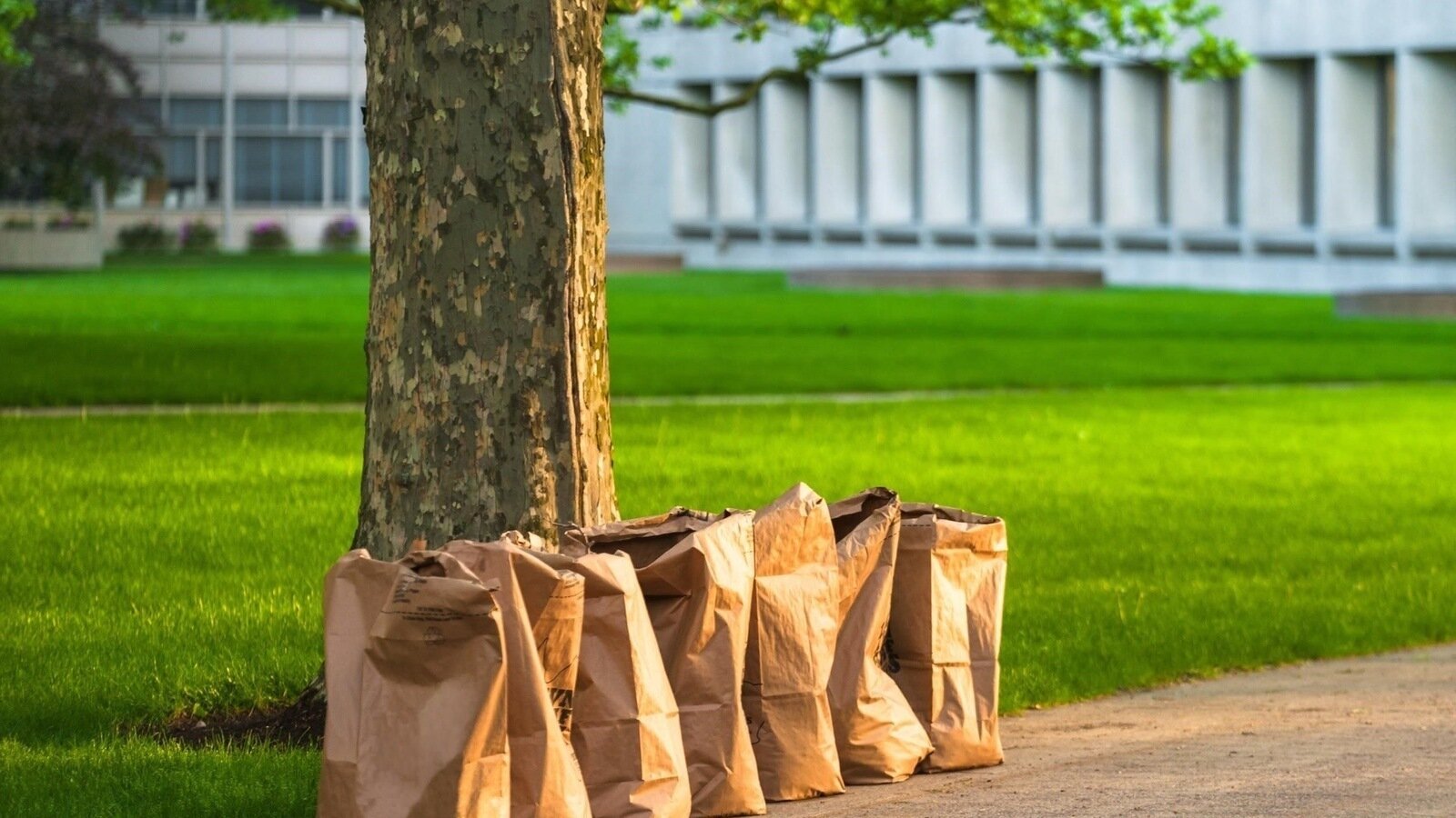 Petition · Embrace a Greener Virginia Beach Swap Plastic for Paper