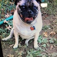 ChangeOrg profile picture for @Groom