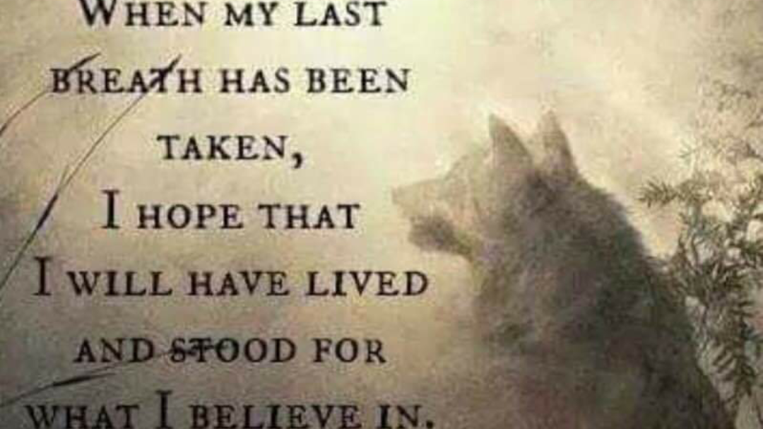 Petition update · Matt says thank you!! Love & Respect · Change.org ...