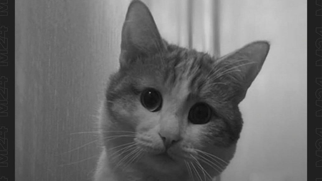 Петиция · Требуем уволить и возбудить уголовное дело против проводницы ...