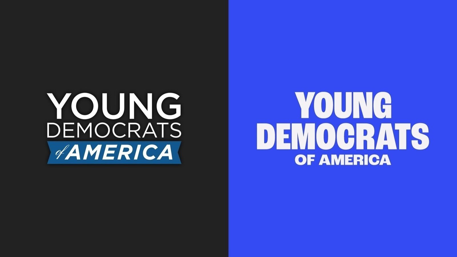 Petition Establish Young Democrats Club At CSI United States Petition Establish Young Democrats Club At CSI United States
