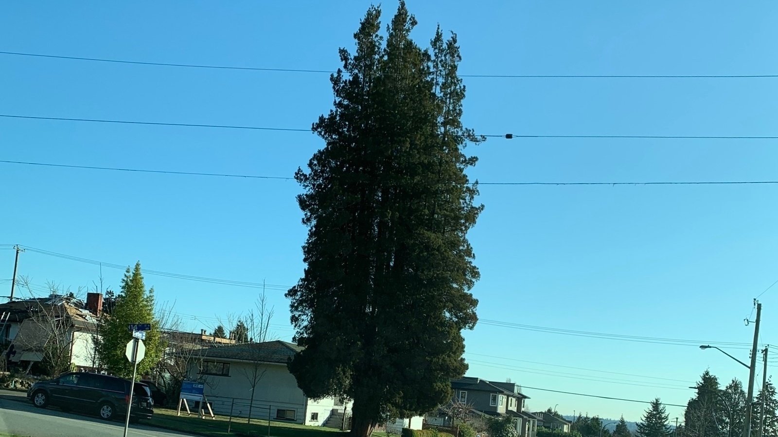 Petition · Protect the trees of North Vancouver North Vancouver