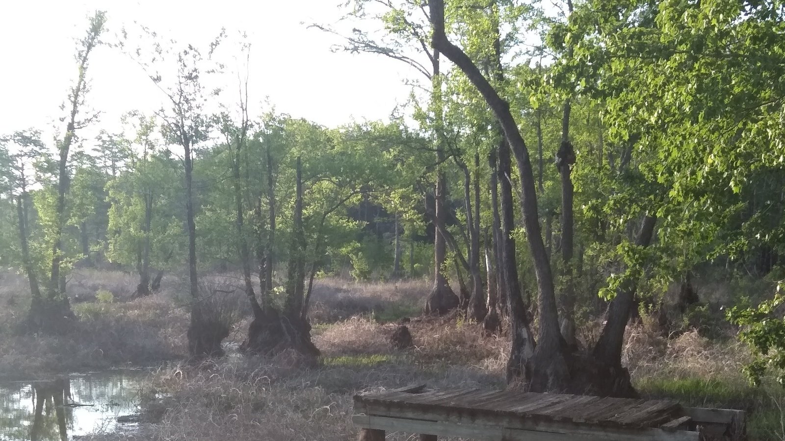 Petition · Help Save The Maxton Mill (Hayes) Pond!!! United States