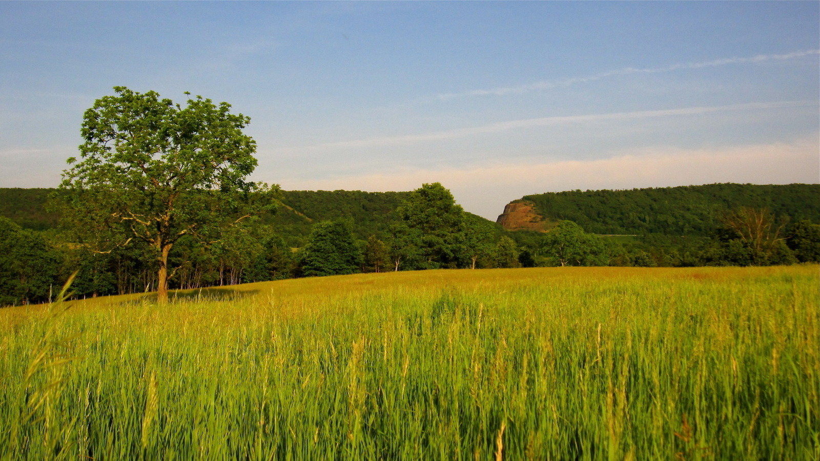 Petition · Eliminate proposed ORV (off road vehicle) trails on Sideling