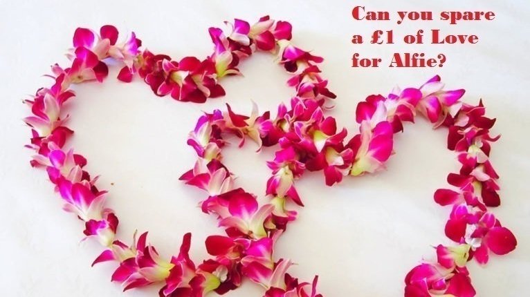 Petition Update Happy Valentines Day Change Org