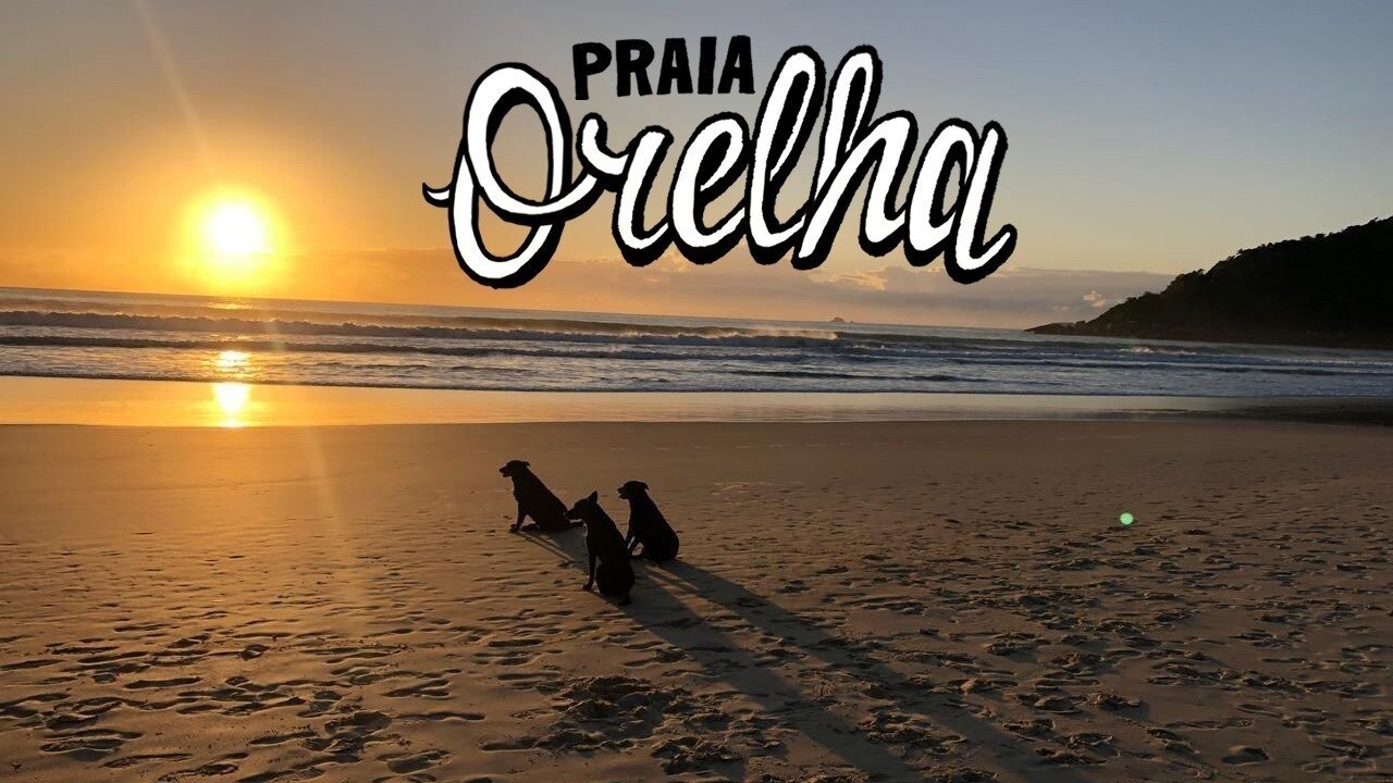Justiça por Orelha: Renomear a praia para Praia Orelha