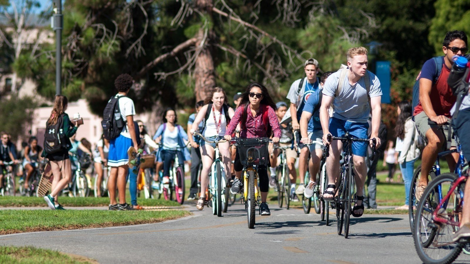 Petition · Create bike lane signs/reminders on UCSB Campus to reduce