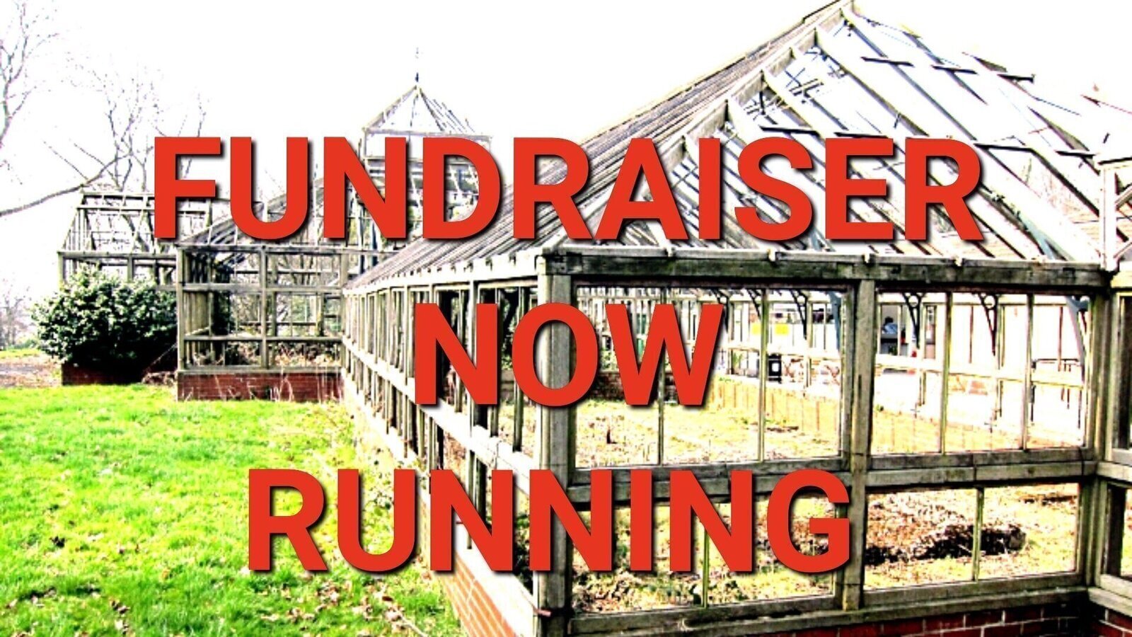 Petition · Buile Hill Park Greenhouse FUNDRAISER now running on