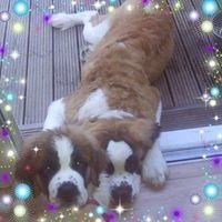 ChangeOrg profile picture for @Samson