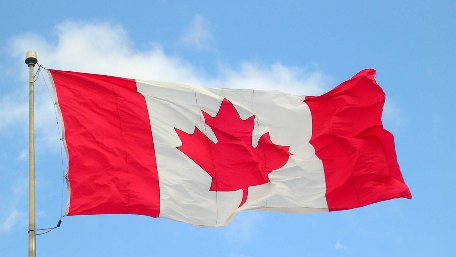 Petition Dismiss Harper For Violating The Canadian Charter Of Rights 