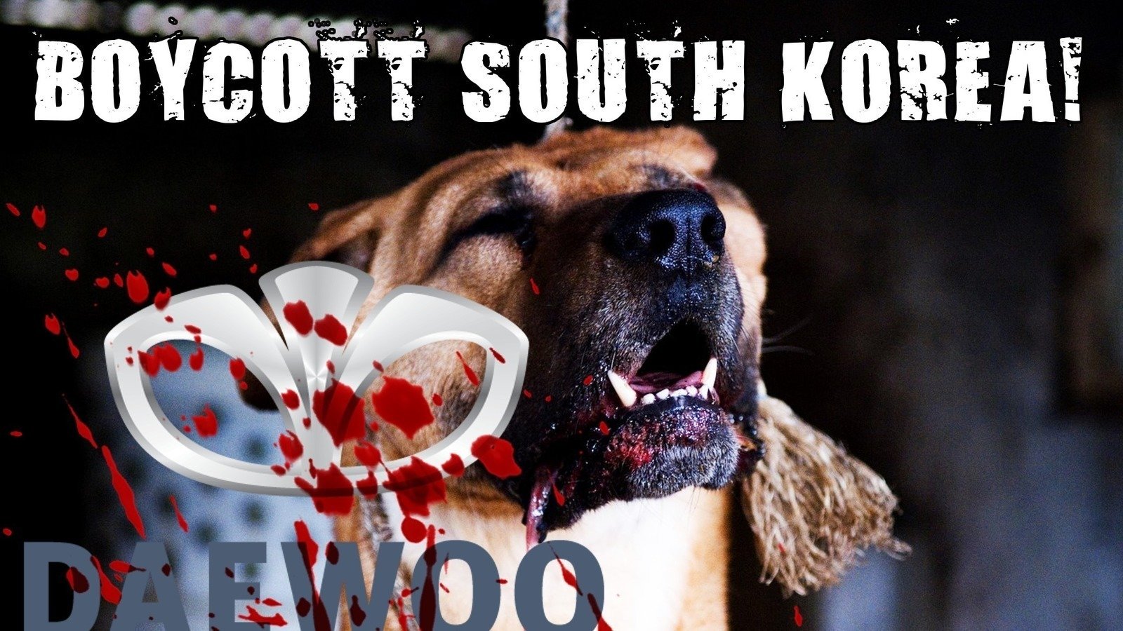 Petition · Boycott South Korean Dog and Cat Meat Cruelty! Boycott