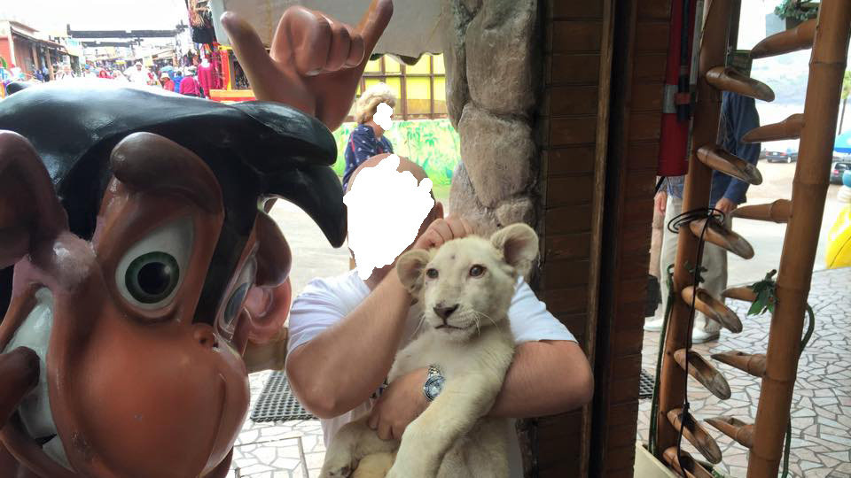 Petition · Rescue these Lions, Tigers, and other Animals from Abuse in