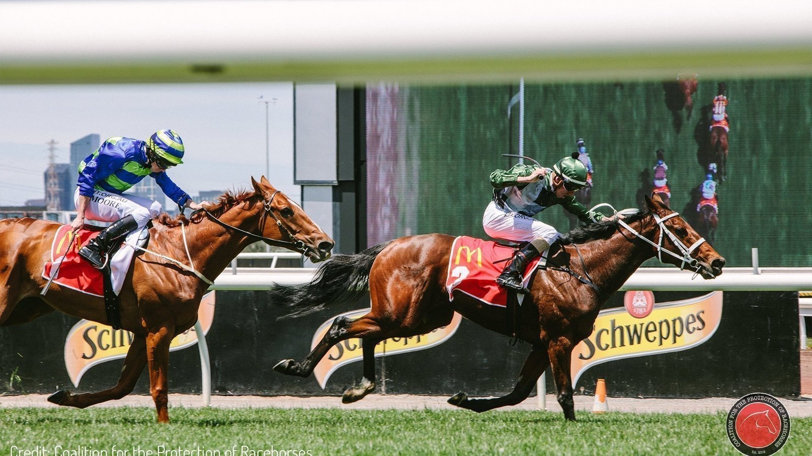 Petition · Ban the Whip in Horse Racing Australia ·