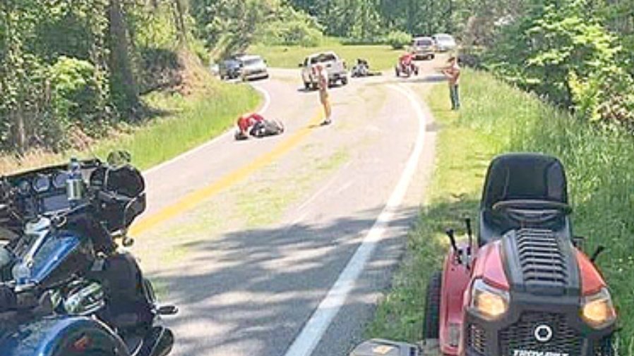 Petition · Save all life! Keep grass off the roads. Make it law