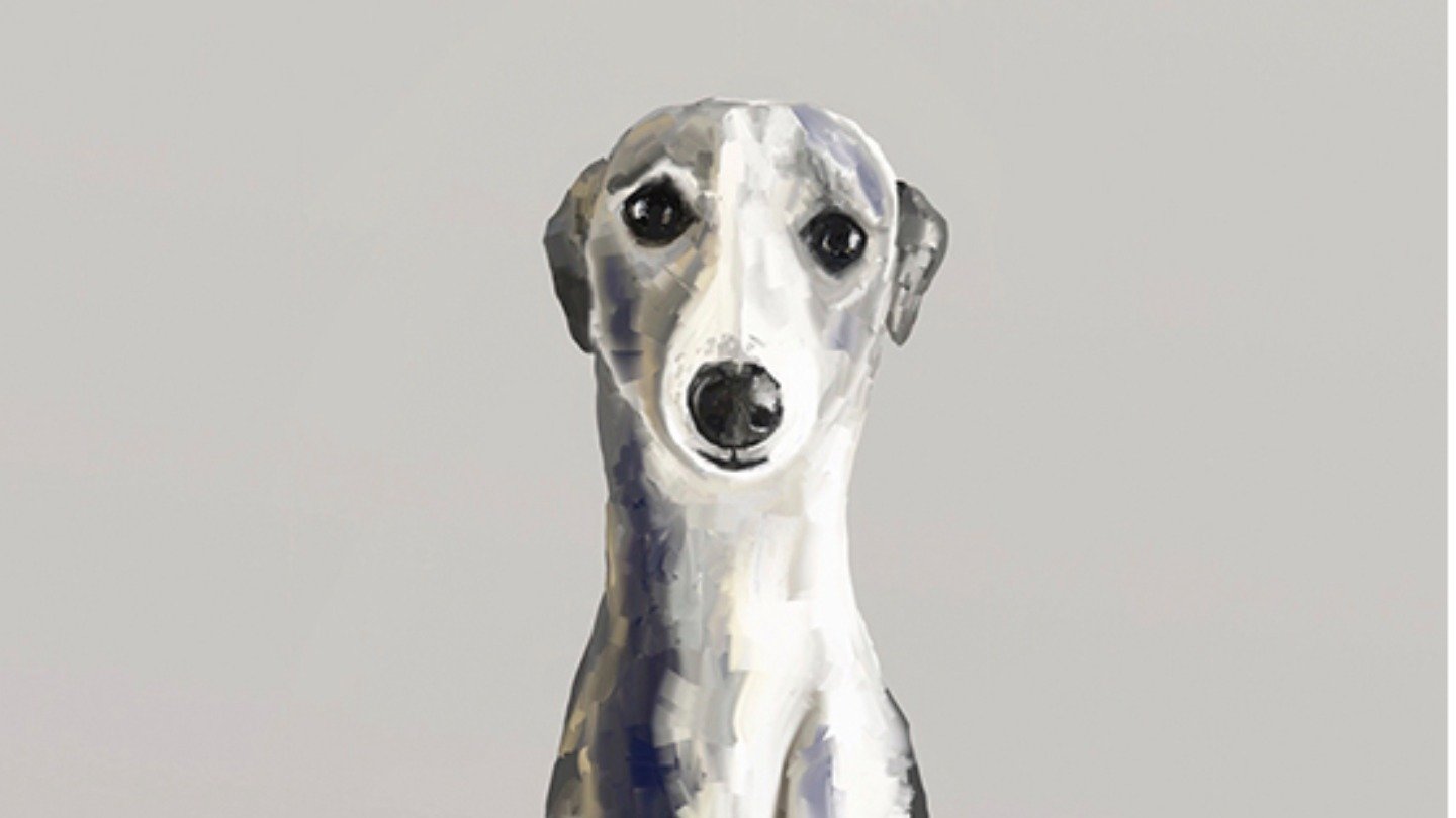 Petition · Reduce Dog Registration Fees In Nelson NZ Nelson, New